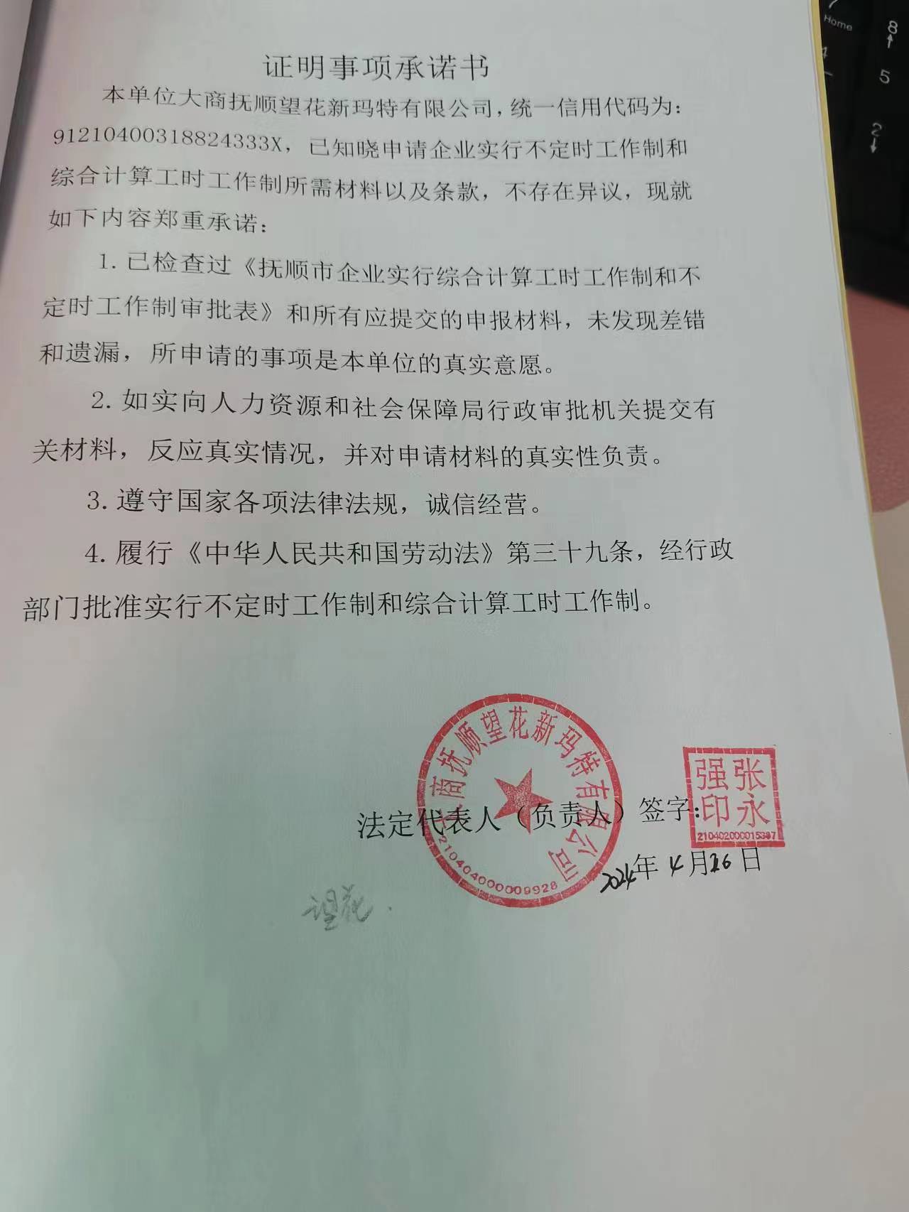 大商抚顺望花新玛特有限公司.jpg